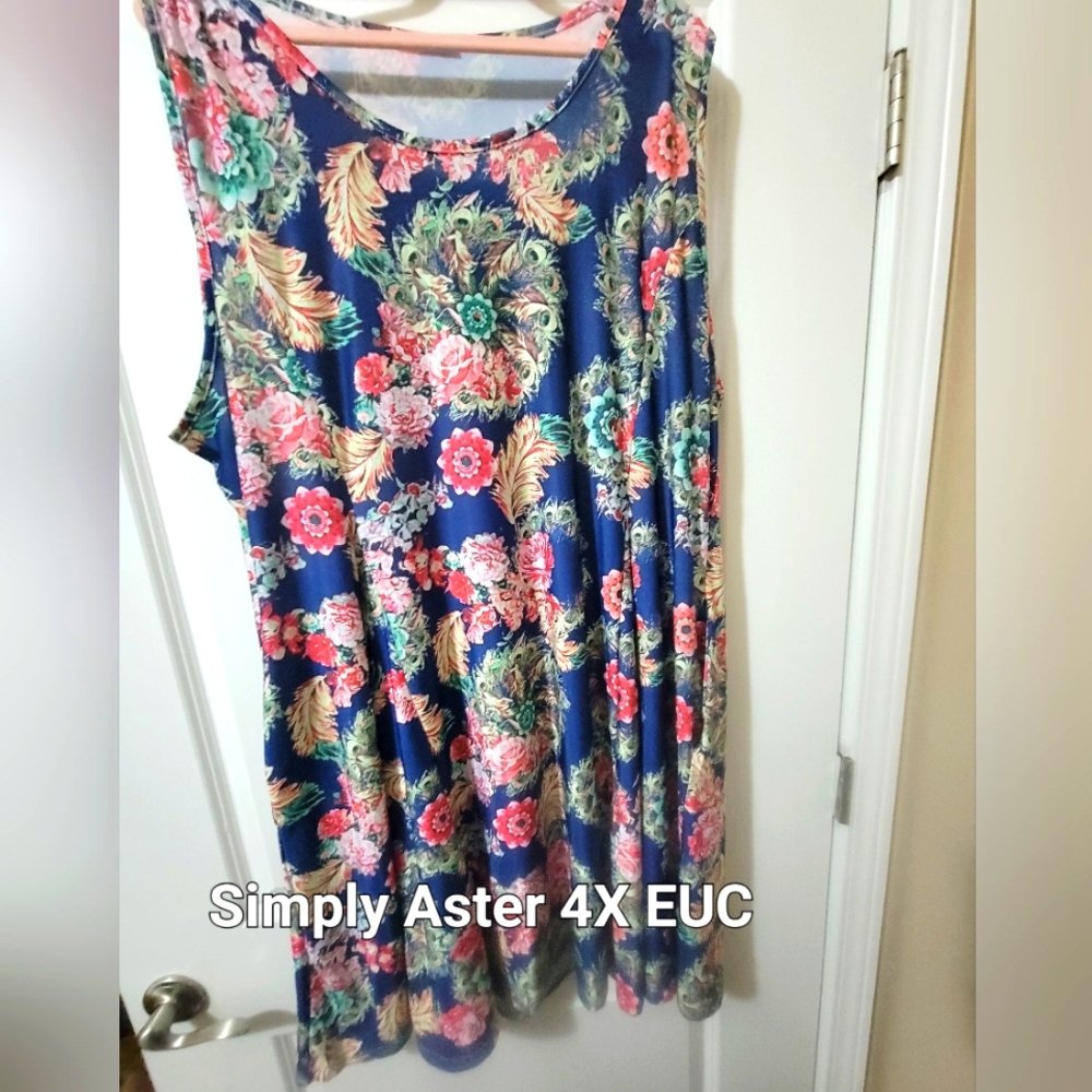Simply aster floral plus size tunic.